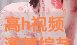 免费高h视频,免费高H视频背后的秘密世界