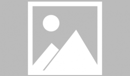 吃瓜娱乐圈狐狸是谁啊小说,揭秘狐狸真身之谜